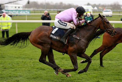 horse racing results fairview